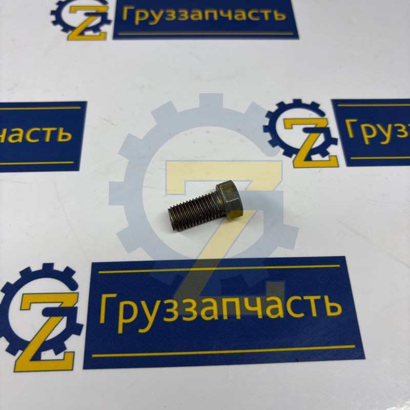 Болт М10х 20 (на двиг., бачок ПЖД, рулевое управление) / г.Белебей